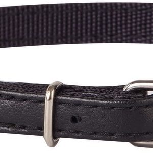 Dingo Obroża Dla Psa Basic 1,6 x 45 CM Czarna - 1 zdjęcie
