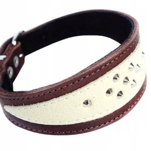 Dingo Obroża Ozdobna Dla Charta Skóra Miękka 45 CM - 1 zdjęcie