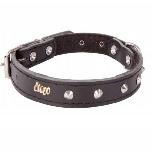 Dingo Obroża Ozdobna Z Filcem 1,4x41 28-34cm 12056 - 1 zdjęcie