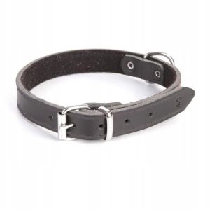 Dingo Obroża Podszyta Filcem 3x50c 34-44cm 13588 - 1 zdjęcie