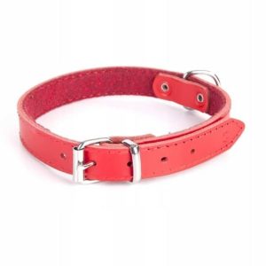 Dingo Obroża Podszyta Filcem 3x50c 34-44cm 13589 - 1 zdjęcie