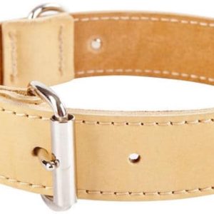 Dingo Obroża skórzana podszyta filcem 41cm kolor naturalny - 1 zdjęcie