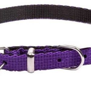 Dingo Obroża taśma Energy 1,2cm/40cm fioletowa - 1 zdjęcie