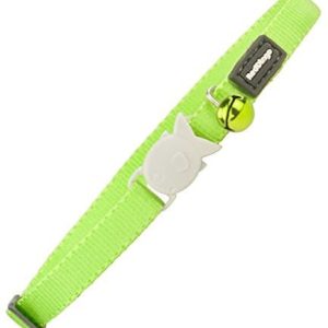Dingo Red obroża dla kota, 12 MM szerokości, 20 32 cm, s, lipowa zieleń - 1 zdjęcie