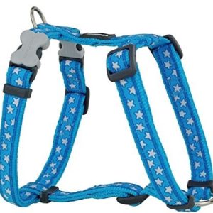 Dingo Red Stars White on Turquoise zakładanymi na co dzień, XS, niebieski - 1 zdjęcie