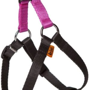 Dingo Szelki Fred Energy 12mm/40cm CZARNO-RÓŻOWYM nr kat. 94609 - 1 zdjęcie