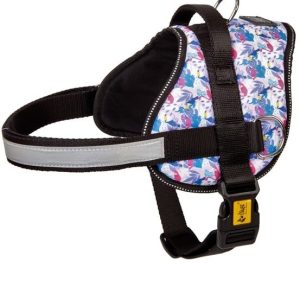 Dingo Szelki Strong America Hawaii Blue Rozm. 5 - 1 zdjęcie