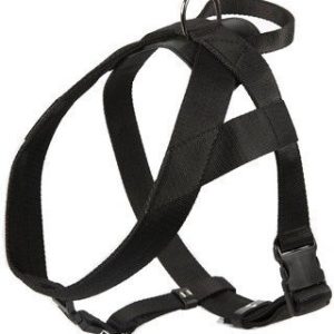 Dingo Szelki Taśma z uchwytem 4cm czarne - 1 zdjęcie