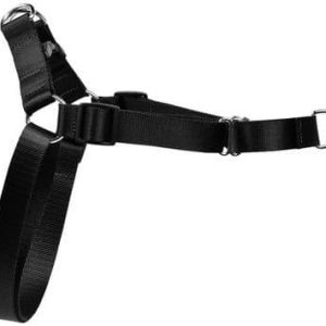 DINO DINO SZELKA EASY WALK 30MM/7-125CM CZARNA SZ/T/E/30120/CZ - 1 zdjęcie
