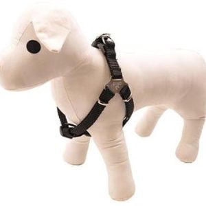 DINO DINO SZELKI TAŚMA REGULOWANA 20MM/40-60CM CZARNE 12060/CZ - 1 zdjęcie