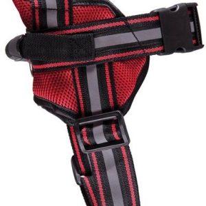 DINO DINO UPRZĄŻ ODBLASK NR 5 80-109CM 180109 - 1 zdjęcie