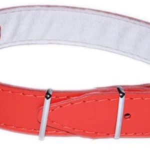 Dino Obroża skórzana czerwona 40mm/67cm PDIO022 - 1 zdjęcie