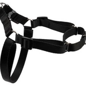 Dino SZELKA EASY WALK 20MM/50-75CM CZARNA SZ/T/E/2070/CZ - 1 zdjęcie