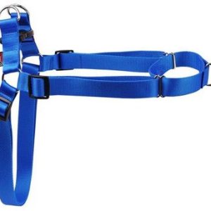 Dino SZELKA EASY WALK 30MM/75-125CM NIEBIESKIA SZ/T/E/30120/NI - 1 zdjęcie