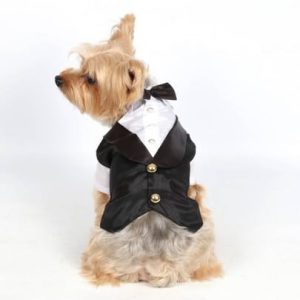 Doggy Dolly DOGGY DOLLY Kamizelka z muchą czarna M 59-61 cm/81-83 cm DARMOWA DOSTAWA OD 95 ZŁ! - 1 zdjęcie