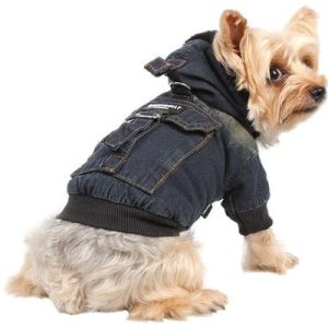 Doggy Dolly DOGGY DOLLY Kurtka jeansowa z kapturem XXS 13-15 cm/26-28 cm DARMOWA DOSTAWA OD 95 ZŁ! - 1 zdjęcie
