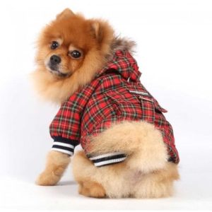Doggy Dolly DOGGY DOLLY Kurtka w kratkę z kapturem czerwona L 31-33 cm/46-48 cm DARMOWA DOSTAWA OD 95 ZŁ! - 1 zdjęcie