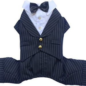 Doggydolly Doggy Dolly Bd199 Big Dog Smoking Anzug Für Große  Hnde,, Shwarz,, Göße E : - 1 zdjęcie