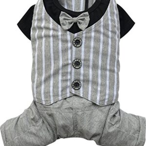 Doggydolly Doggy Dolly C220 psy kombi Casual, szary/czarny C220 - 1 zdjęcie