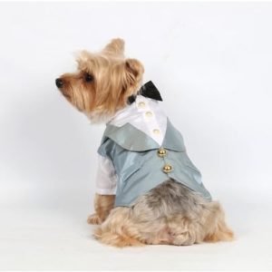 Doggydolly Doggy Dolly F020 Smoking Für Hunde Zwei Pfoten, Grau/Blau, Größe  :  - 1 zdjęcie