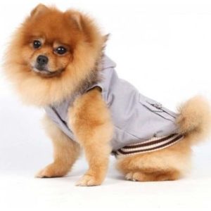 Doggydolly Doggy Dolly W206 Leinen Winterjacke Für Hunde Mit Kapuze, Grau, Größe  : X - 1 zdjęcie