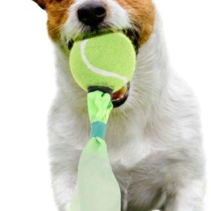 DOGS Collection Zabawka DLA PSA piłka tenisowa do aportowania - 1 zdjęcie