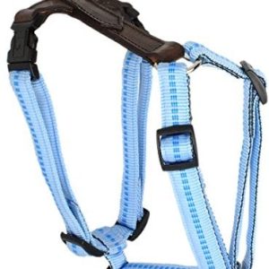 Ernst Koch Ernst płyta Nylon-LEDER-naczynia "G-Adventure" z zatrzaskami bezstopniowo 5 stopniowa regulacja tapicerowany, XS, jasnoniebieski GL3654008 - 1 zdjęcie