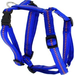 Ernst Koch Ernst płyta Nylon-naczynia tapicerowana bezstopniowo 5 stopniowa regulowana z zatrzaskami, s, Royal G3655010 - 1 zdjęcie