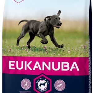 Eukanuba Growing Puppy Large Breed 15 kg - 1 zdjęcie