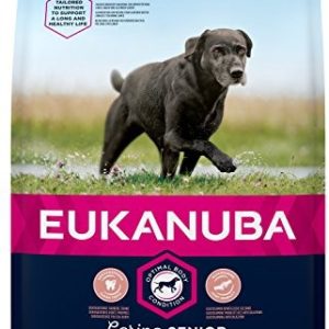 Eukanuba Senior suchej karmy dla starszych dużych psów o świeżym kurczak, 3 kg - 1 zdjęcie
