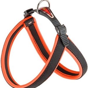Ferplast Agila Neon 3 zakładanymi na co dzień, pomarańczowy 42 cm x 50 cm X 15 MM - 1 zdjęcie