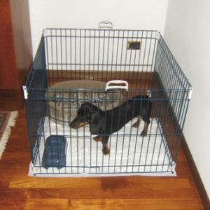 Ferplast Kojec dla psa Dog Training, Gwarancja terminu lub 50 zł! - 1 zdjęcie