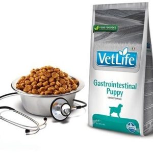 Fitmin Vet Life Gastrointestinal Puppy Dog 2 kg - 1 zdjęcie