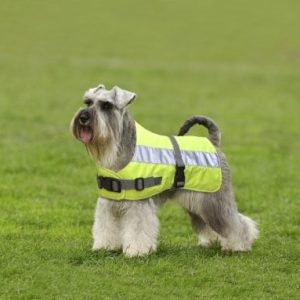 Flectalon petlife Warnweste dla psów, z ciepłą podszewką termiczną, 50,8 cm, żółty fluorescencyjny - 1 zdjęcie