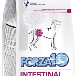 Forza10 Intestinal Active 10 kg - 1 zdjęcie