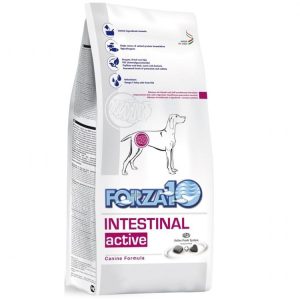 Forza10 Intestinal Active 4 kg - 1 zdjęcie