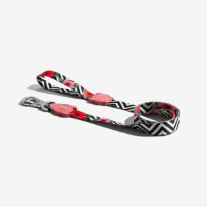 Haas F1 Team Zee Dog dla psa Hawajskie Mahalo S - 1 zdjęcie