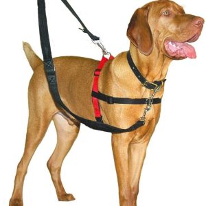 Halti Szelki treningowe dla psa Rozm L obw klatki piersiowej 80-120 cm - 1 zdjęcie