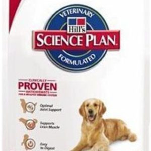 Hills Advanced Fitness Adult Large Breed Chicken 24 kg - 1 zdjęcie