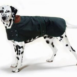 Hunter cosipet Coat, 71 cm - 1 zdjęcie
