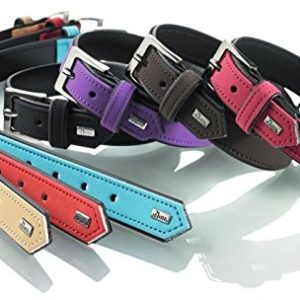 Hunter Halsband Softie 40 Nickelart-Nubuk Himbeer/Nappa Schwarz, 28-34 Cm - 1 zdjęcie