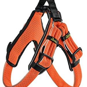 Hunter Manoa Vario Quick Light, uprząż dla psa z tkaniny siateczkowej, xl, pomarańczowy 93075 - 1 zdjęcie