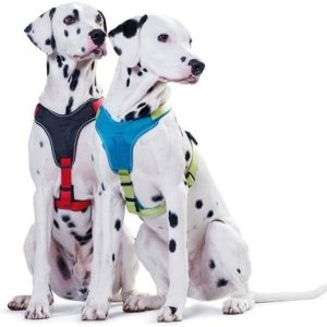 Hunter szelki harness neopren w zielono-turkusowym odcieniu 73-94 cm, 25 mm - 1 zdjęcie