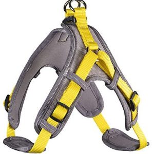 Hunter Uprząż dla psa Neopren Vario Quick, nylon/neopren, xl, żółty / szary 64241 - 1 zdjęcie