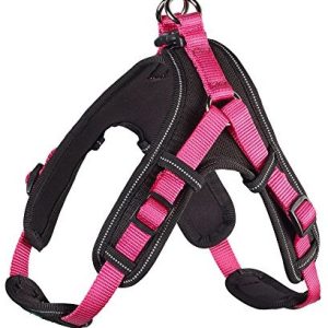 Hunter Uprząż dla psa Neopren Vario Quick, nylon/neopren, XS 64202 - 1 zdjęcie