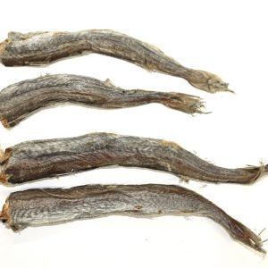 Icepaw ICEPAW Blue whiting - suszony błękitek dla psów 250g 4260321910303 - 1 zdjęcie