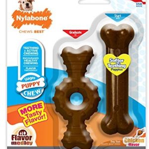 Interpet Podwójne opakowanie, PETITE interpet 983052 po właściwym Bone Puppy ring i kości NP201TPP - 1 zdjęcie