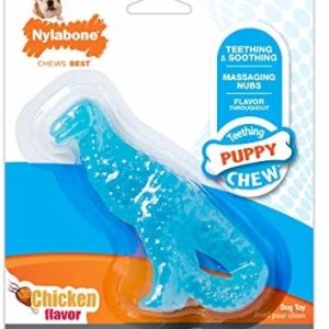 Interpet Prowadząc Bone gryzaki dla Welpen zęby Dental Dino  kurczak smak pies rozgryzać - 1 zdjęcie