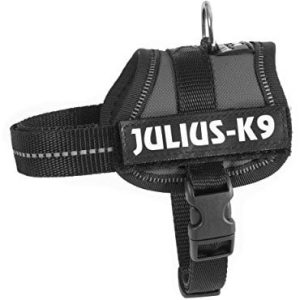 JULIUS K-9 Julius K9, 162 ANT, K9 power zastawy stołowej, antracyt, antracytowy - 1 zdjęcie
