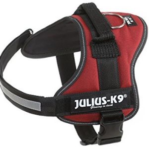 JULIUS K-9 Julius K9, 162bor,-K9 power naczynia, kasztan, 0, kasztan - 1 zdjęcie